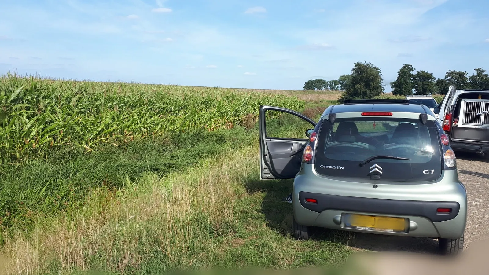 68900121 434856700450272 4357999132229500928 o