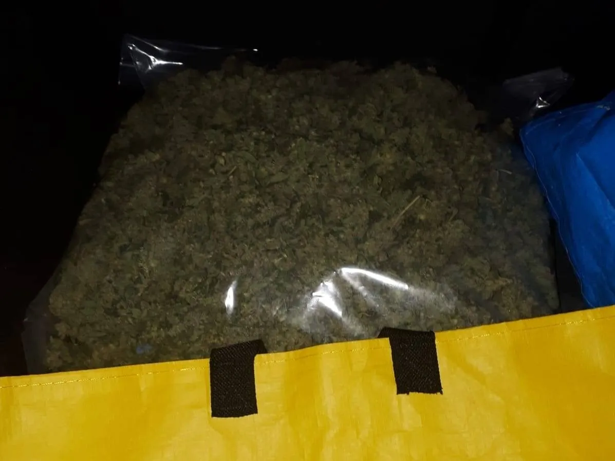 70146322 449351149000827 4557304448195493888 o