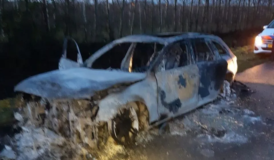 80070669 515846892351252 1857733742483734528 o