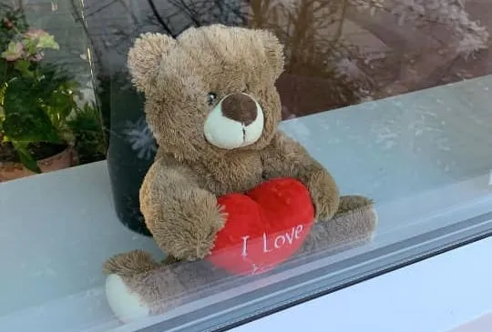 90914203 3513166885366656 2551397636829609984 n