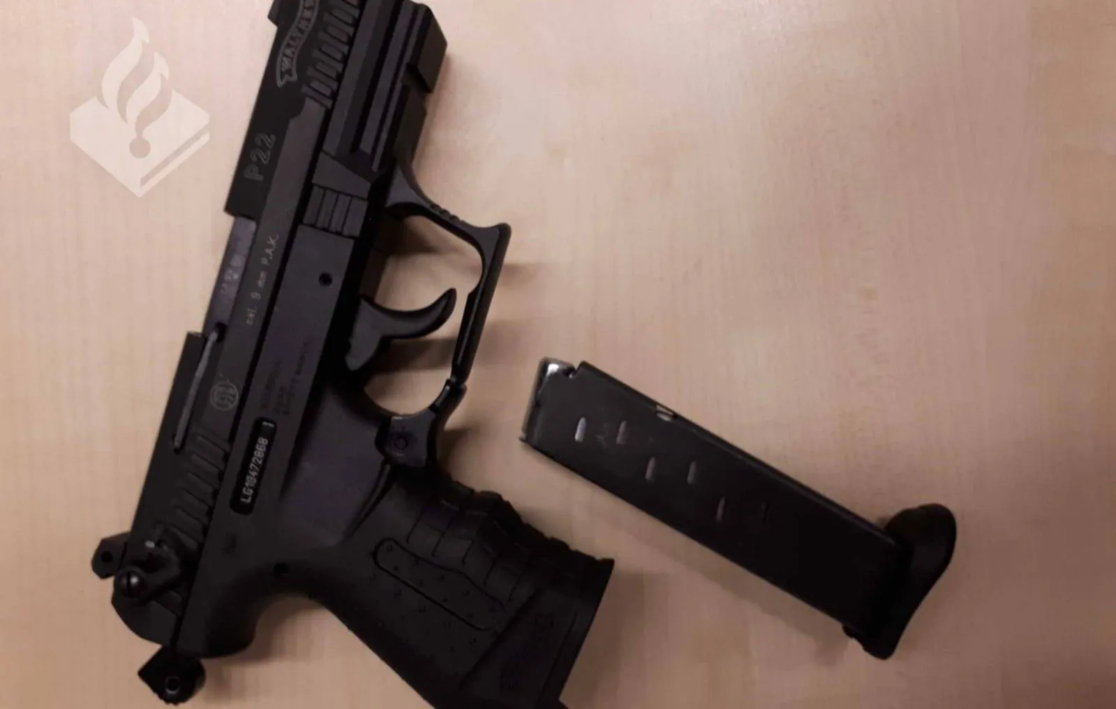 91086334 576333282969279 6146176850017124352 o