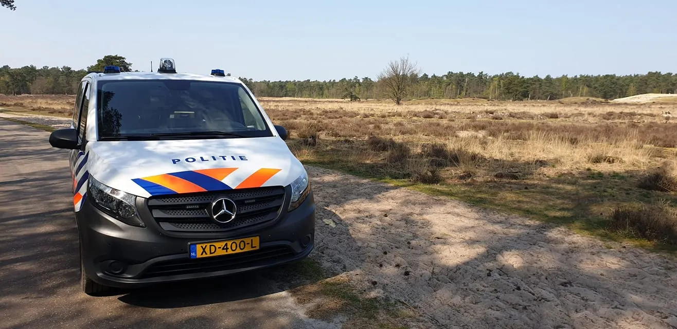 94110019 2694375800691242 6633902993869635584 o