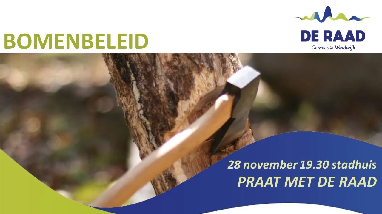afbeelding bij persbericht bomen