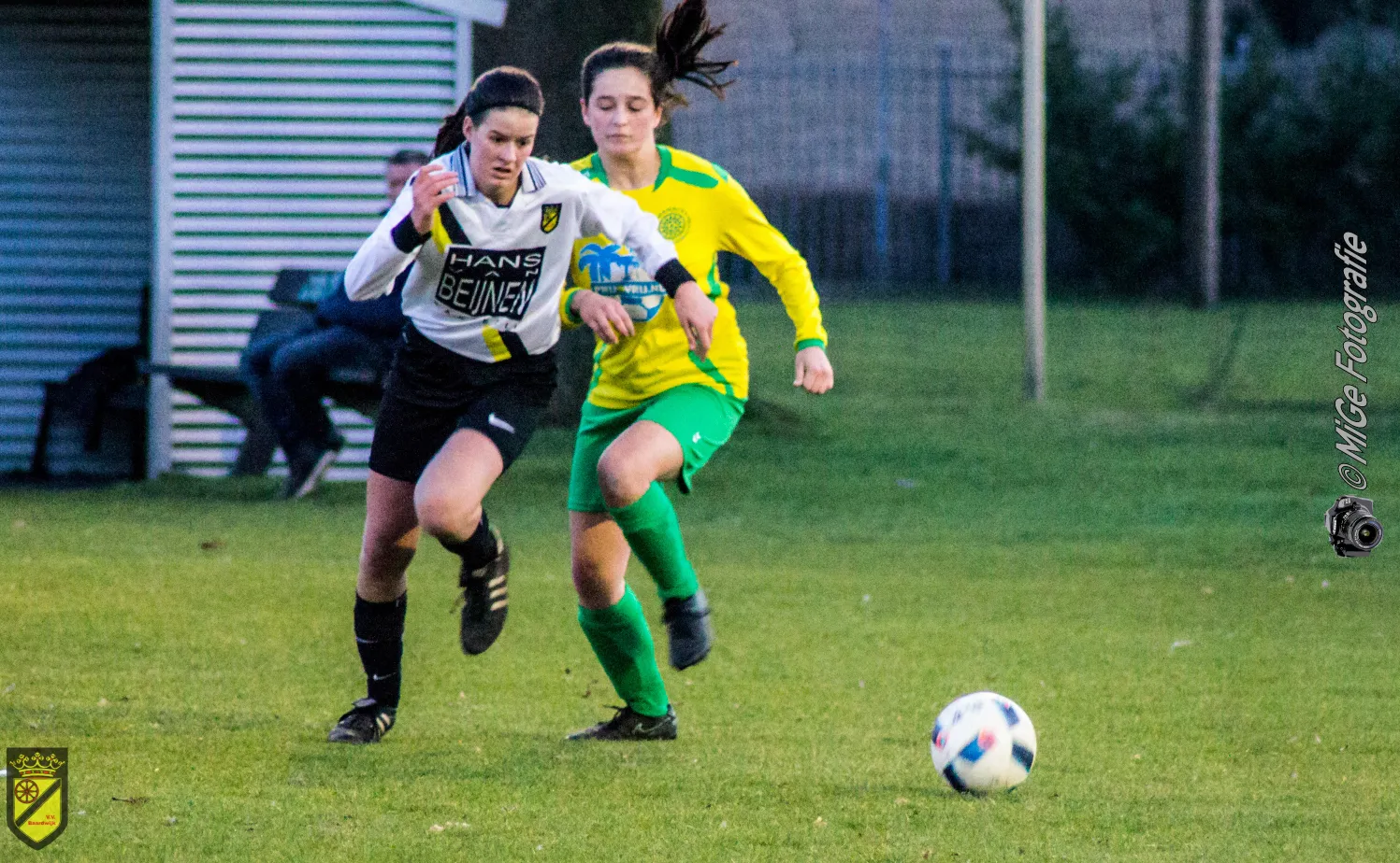 baardwijk blc 8 van 16