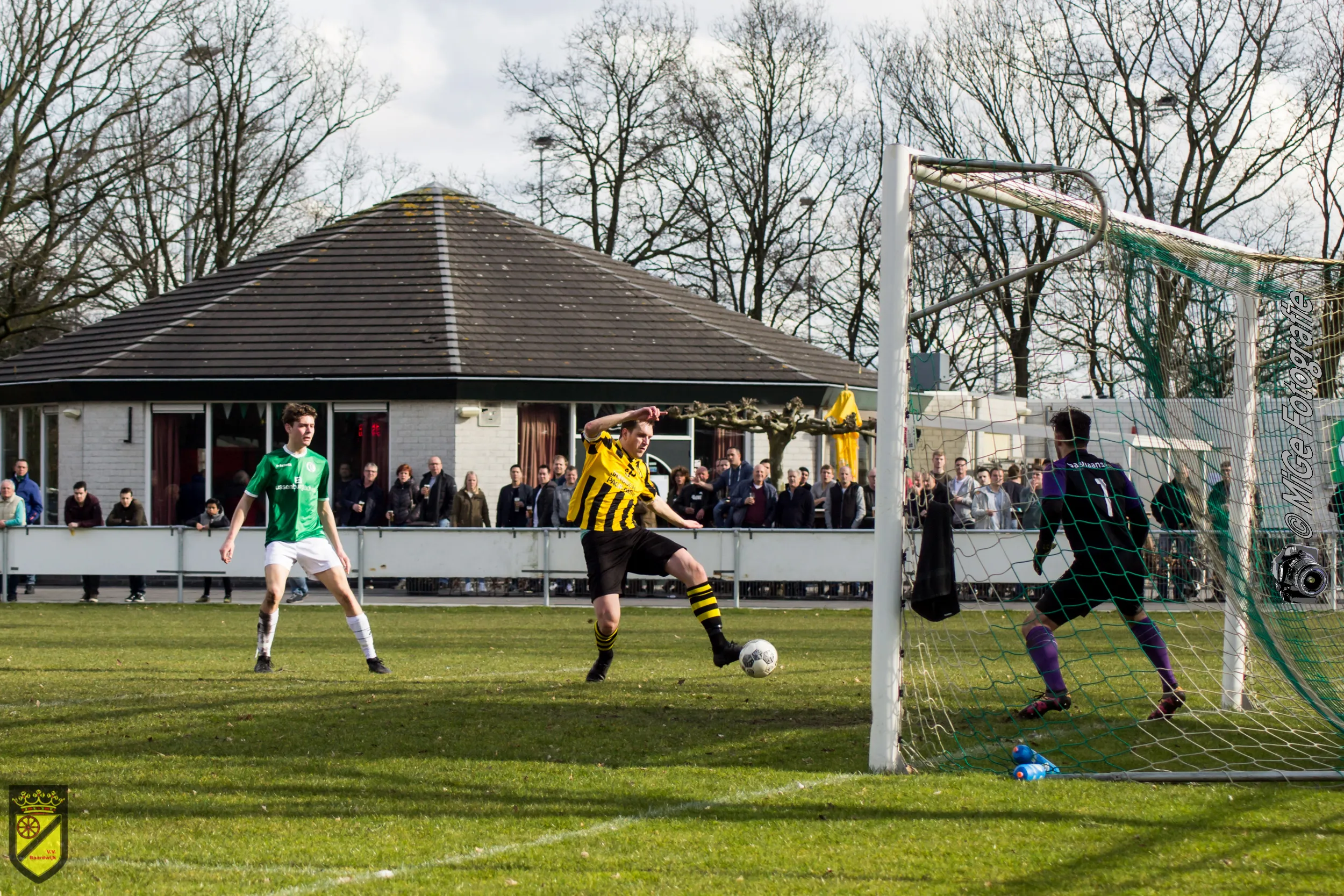 bavel baardwijk 2 van 4 2