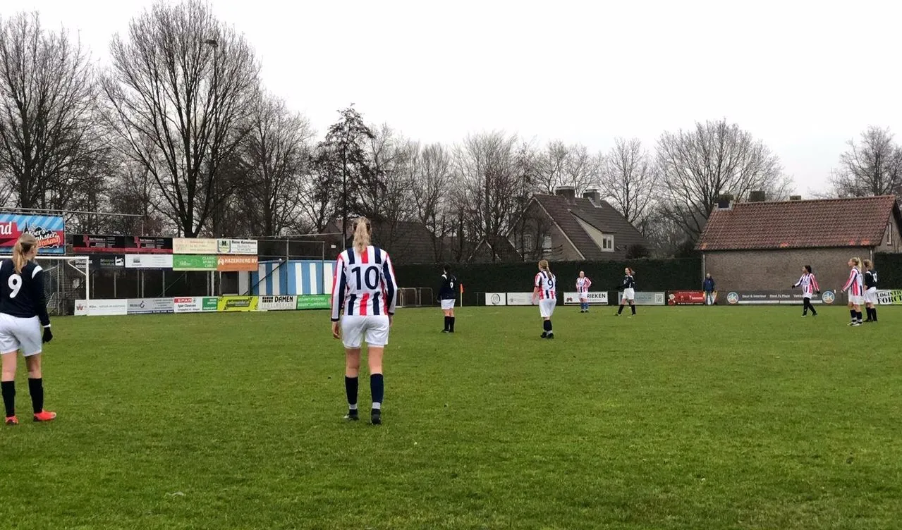 blauw wit rwb vr1zat b