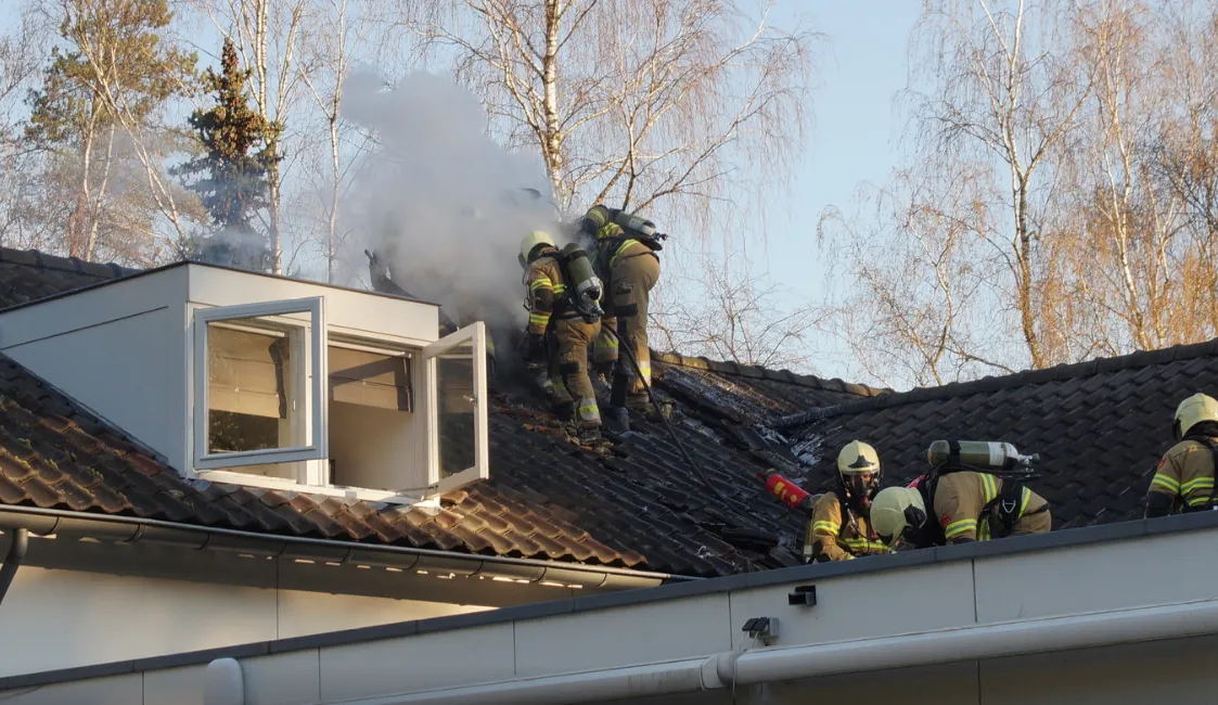 brand