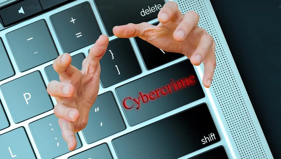 cybercrime