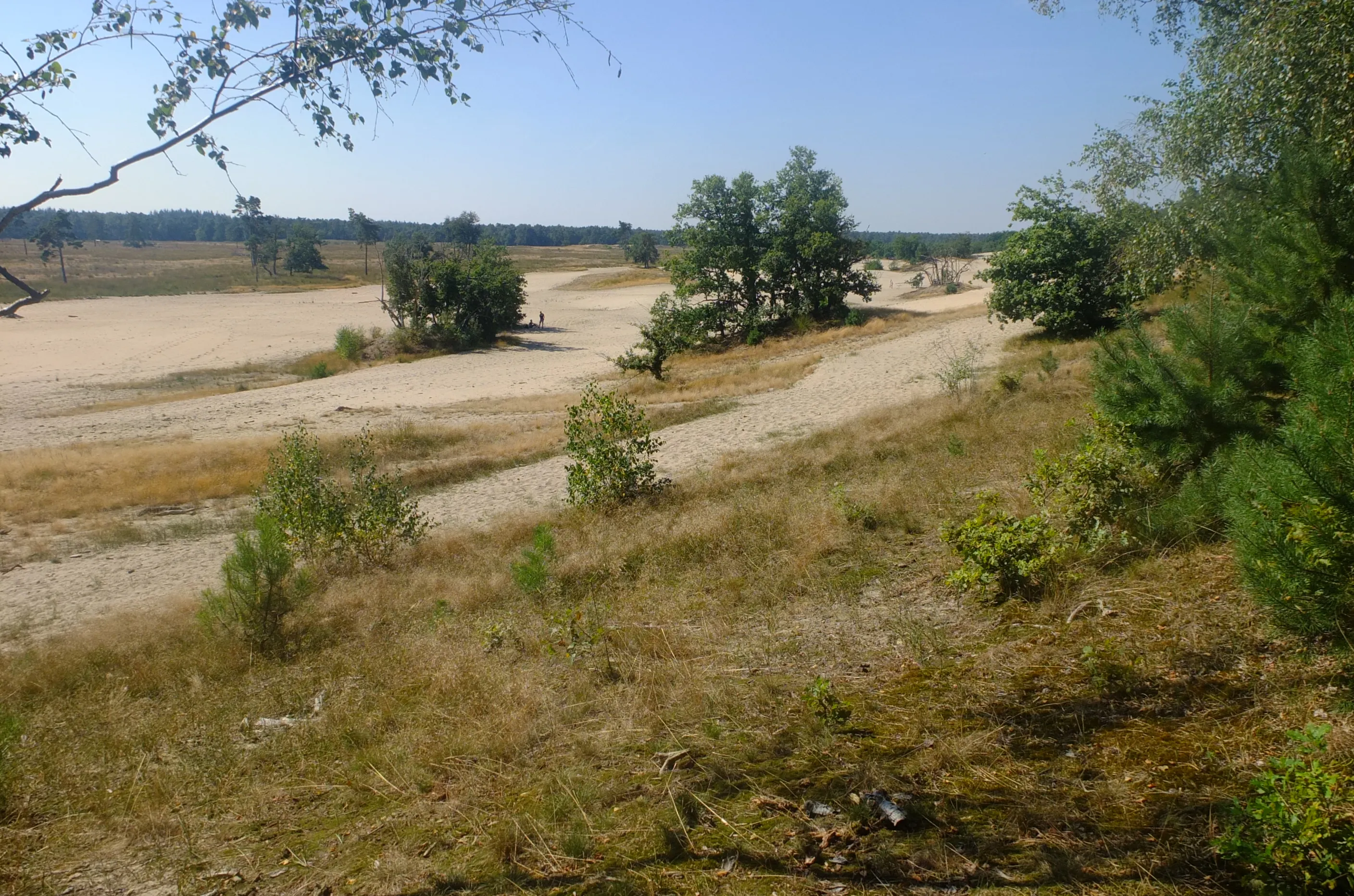 duinen