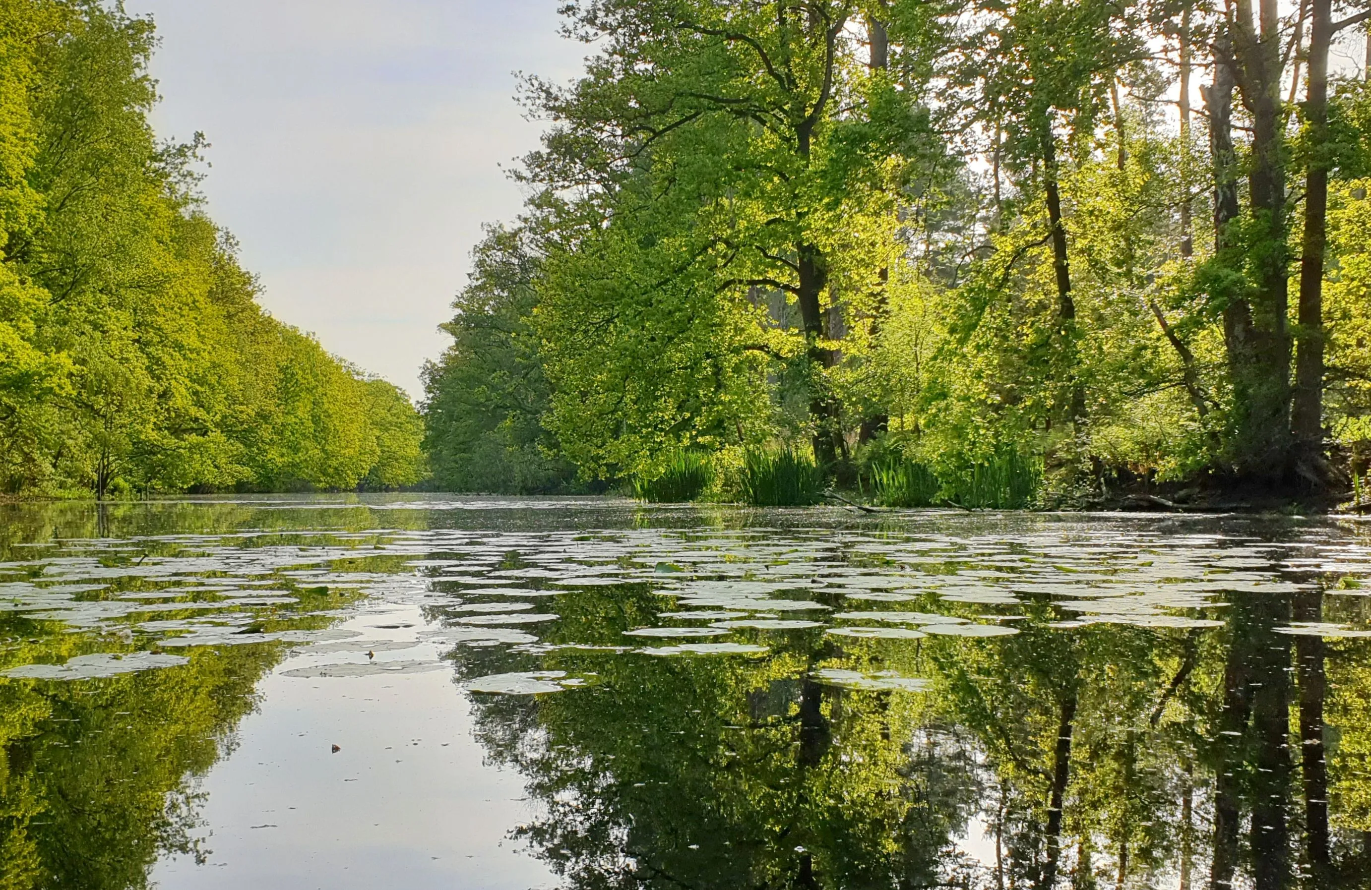 foto expositie chantal maartens