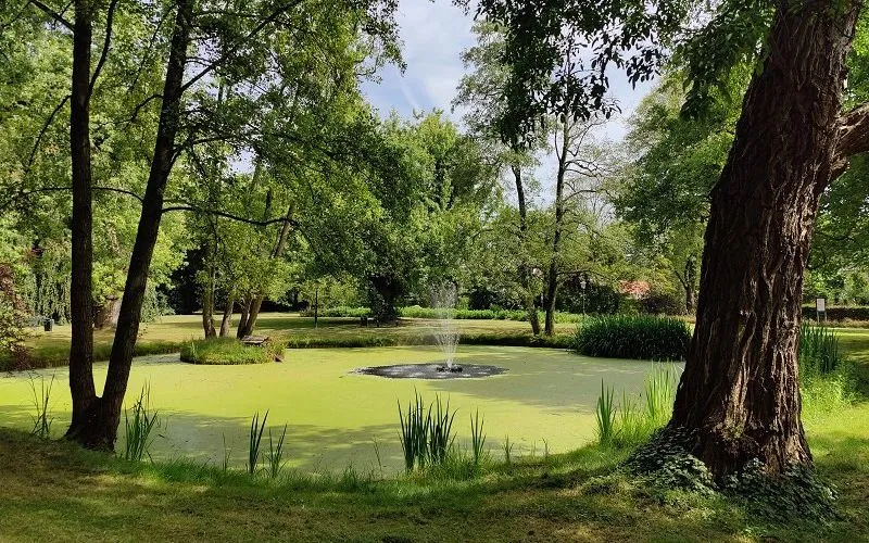 foto fontein wandelpark website