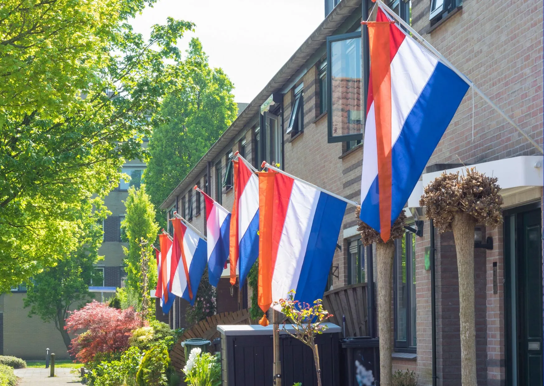 foto nederlandse vlaggen