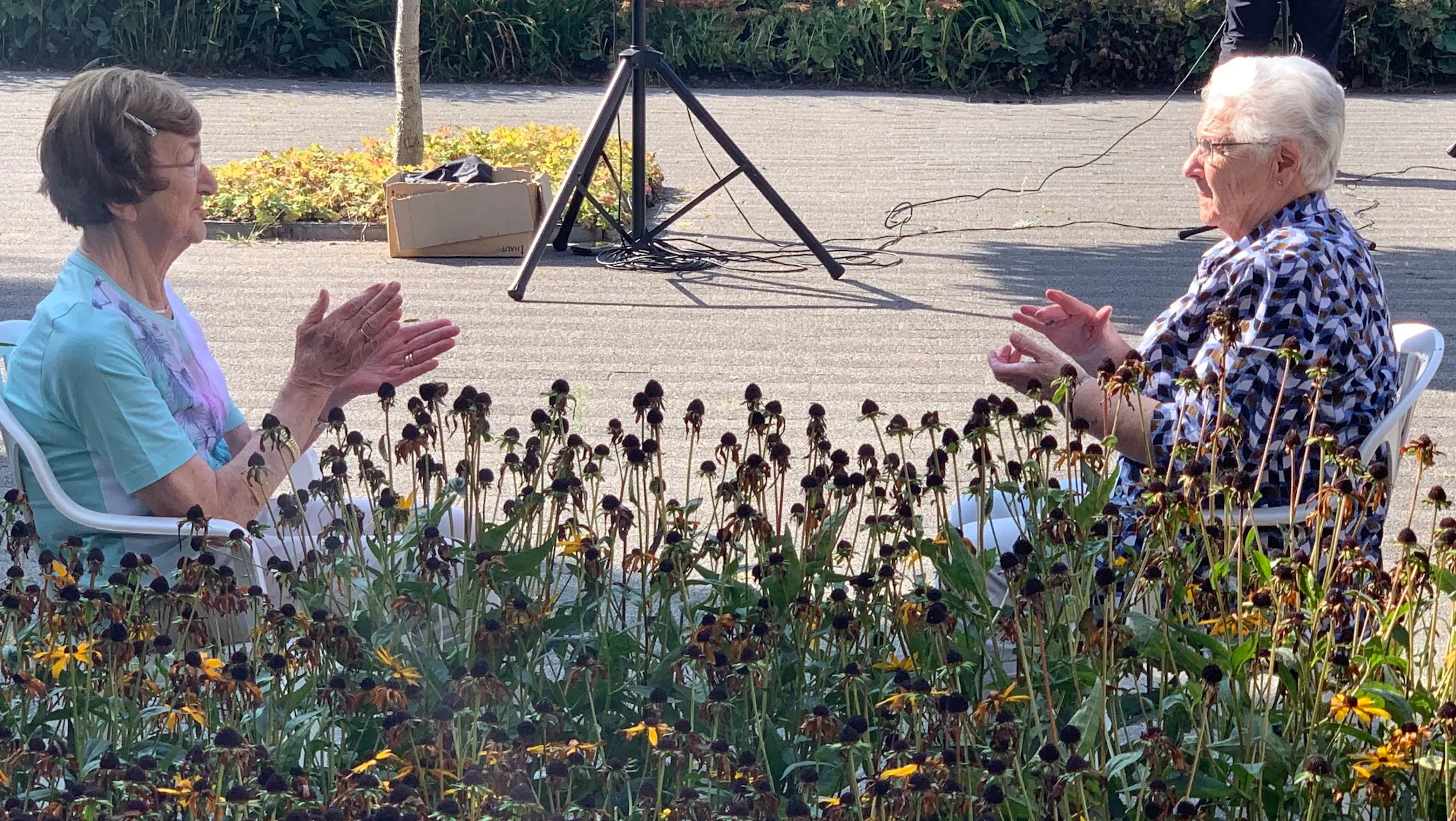 gowaalwijk cognitievefitness 2