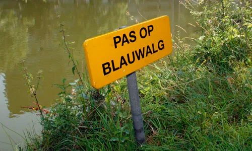 image 903644