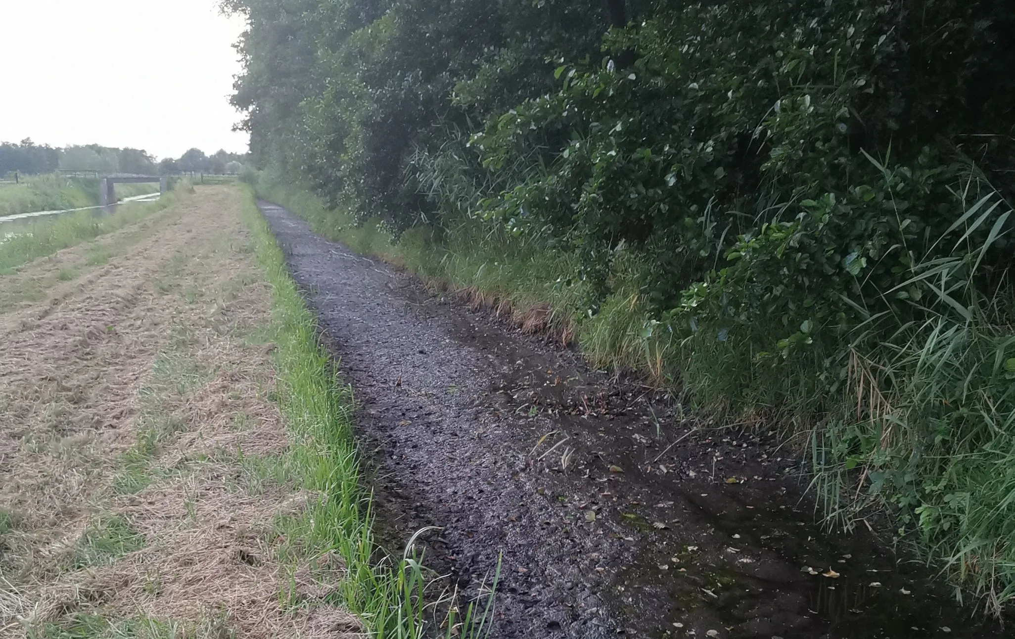 img 20220728 214556 resized 20220730 110058000