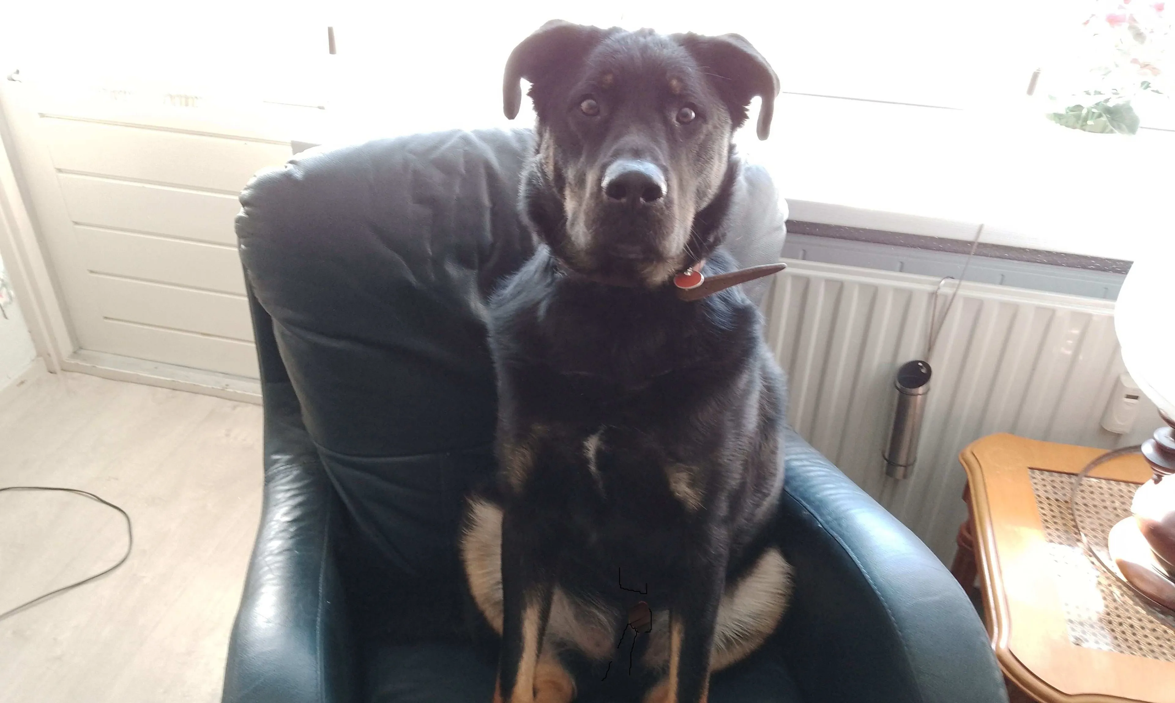 img 20230405 104807 569