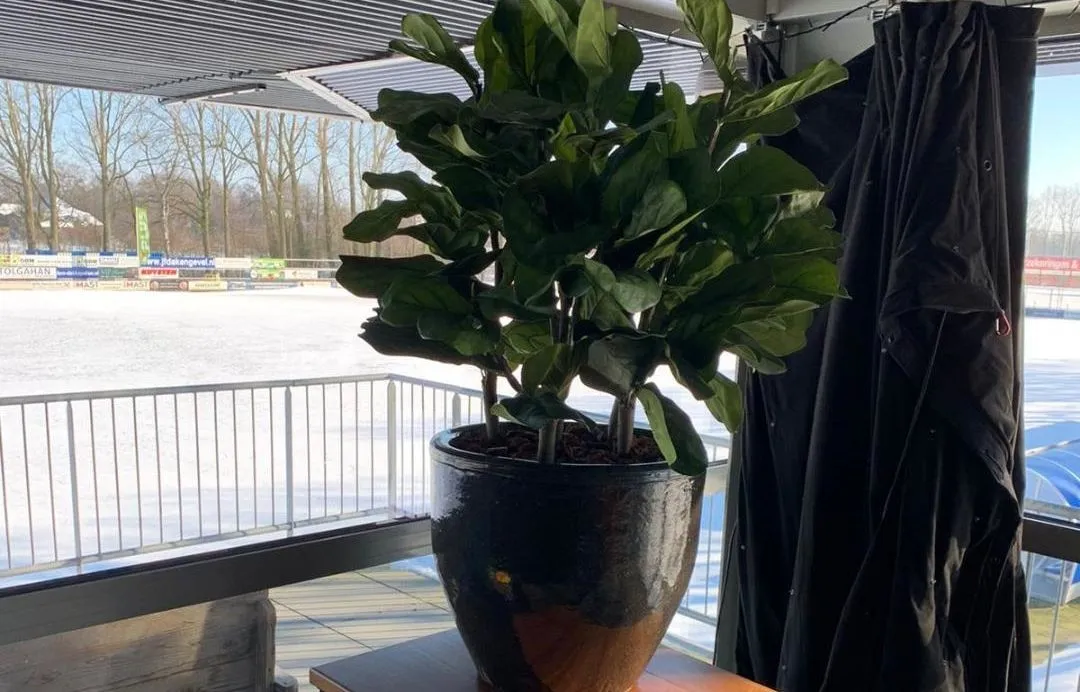 kunstbeplanting sv capelle 1