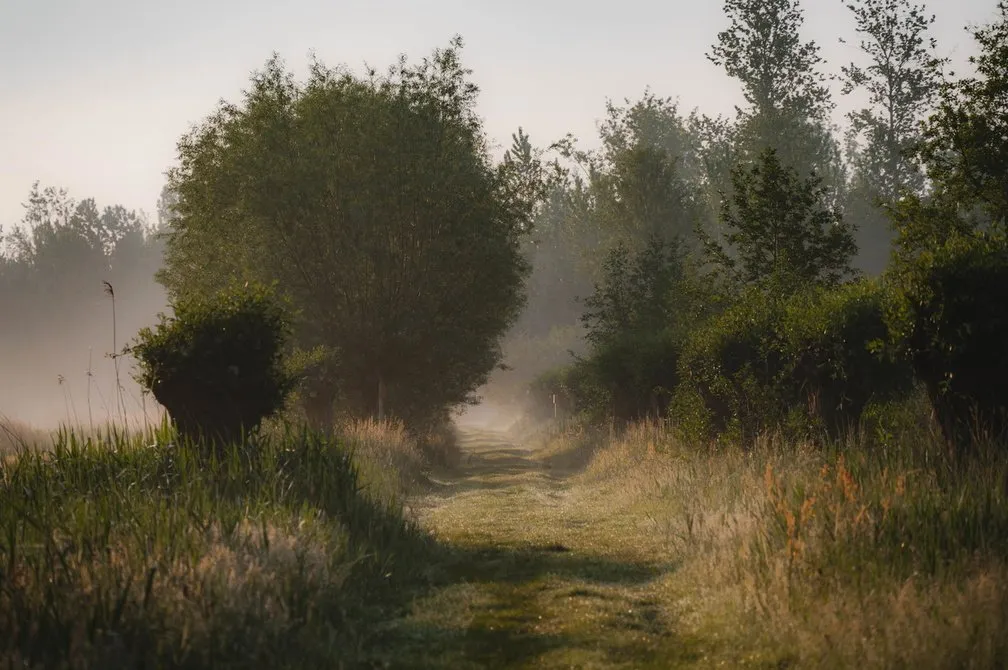 laarzenpad alternatief