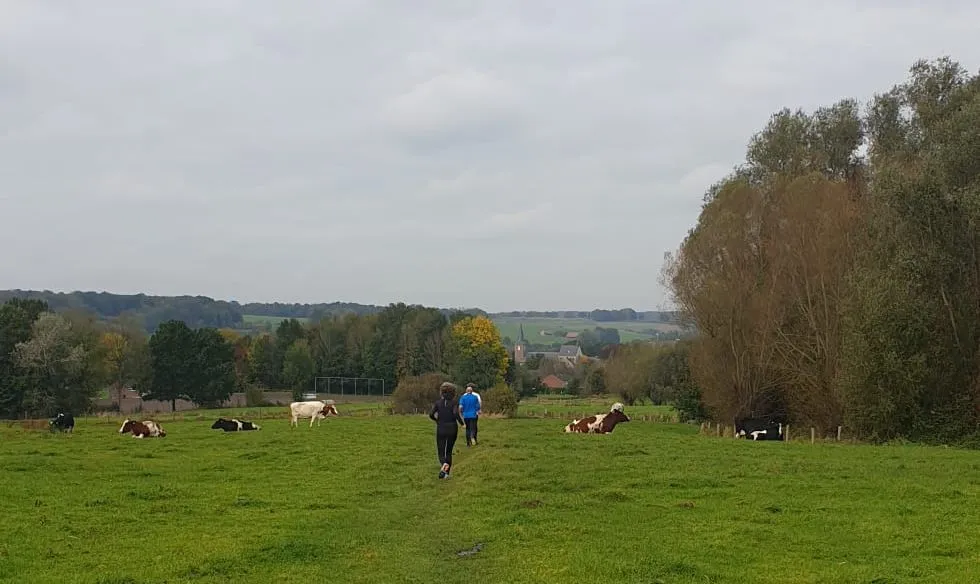 mechelen trail 2021 2