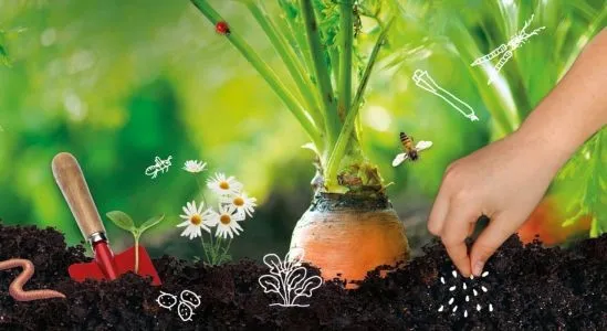 moestuin