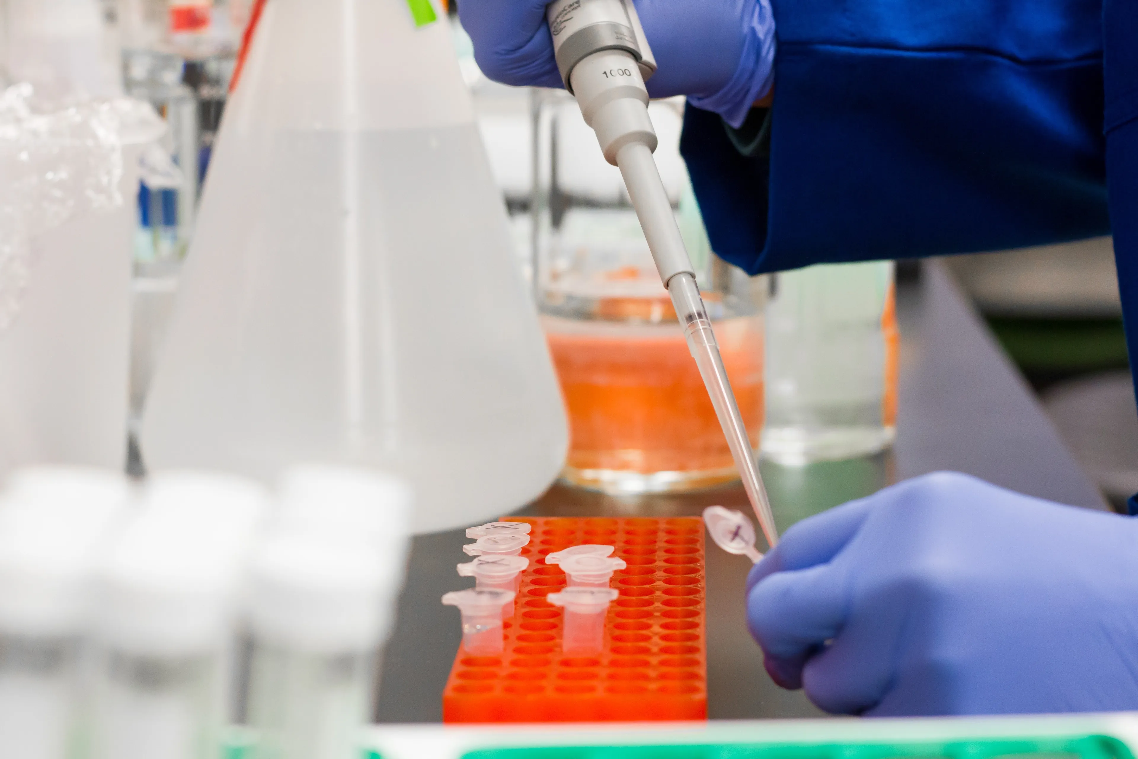 person putting a drop on test tube 954583