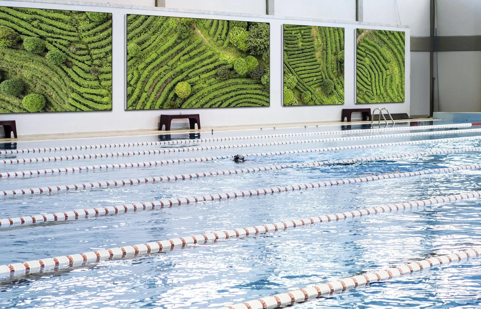 psa website wedstrijdbad 1 voorbeeld