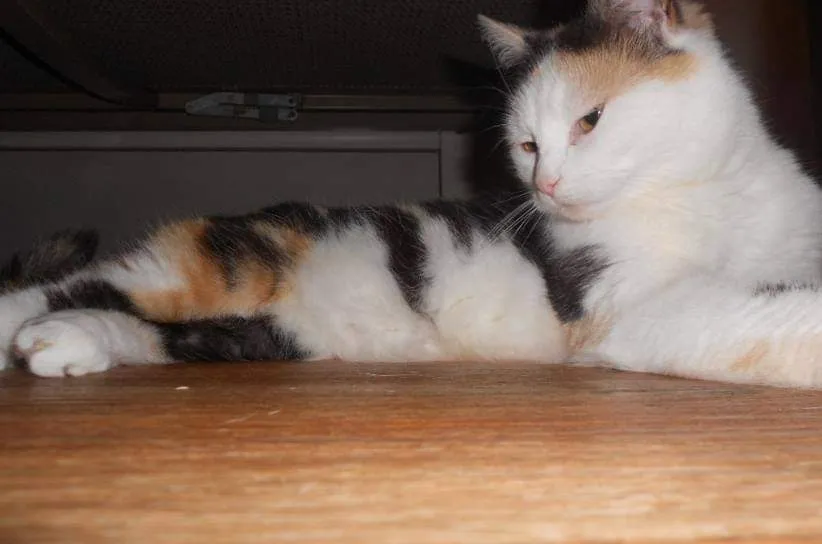 received 342937423421171