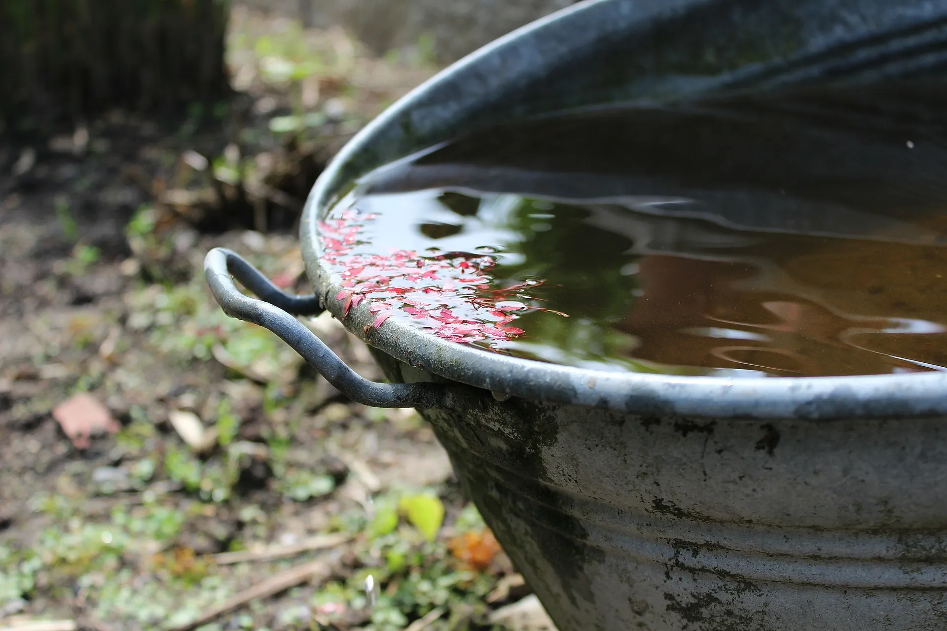 regenwater
