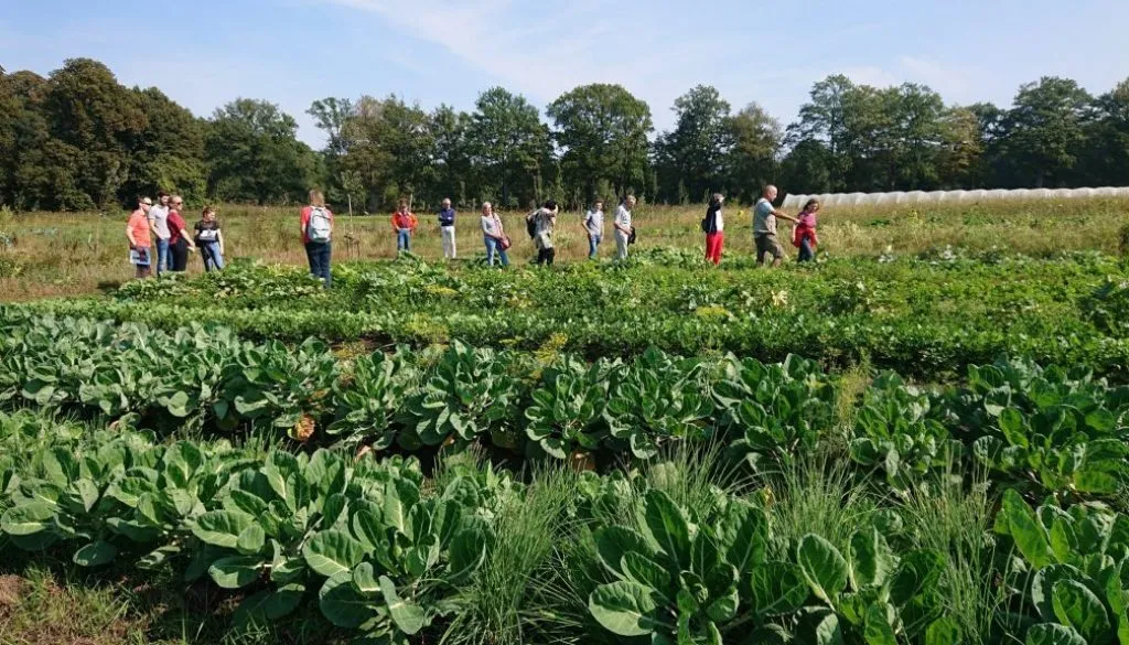 rondleiding herenboeren wilhelminapark