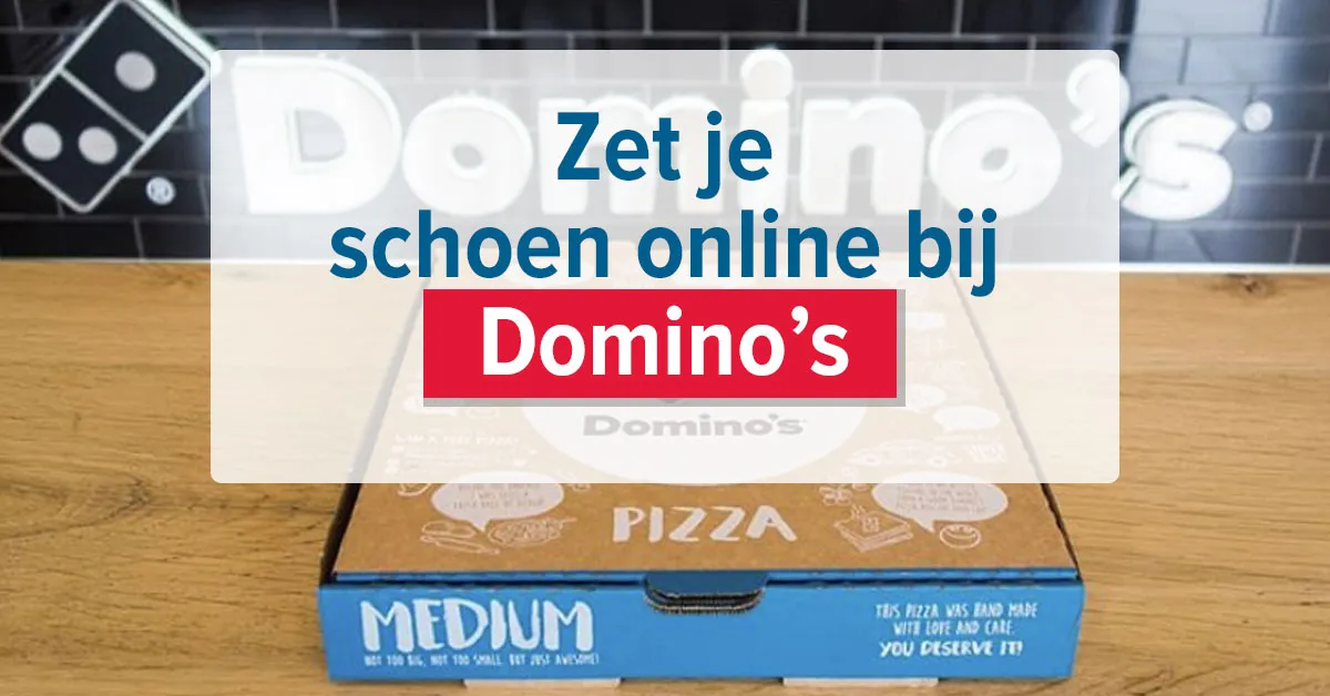 schoen domino omslag 2