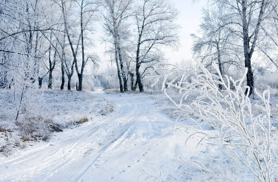 snow 83036 960 720