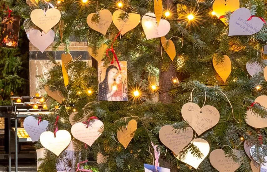 thumbnail stjanwensboom2021 2293 002