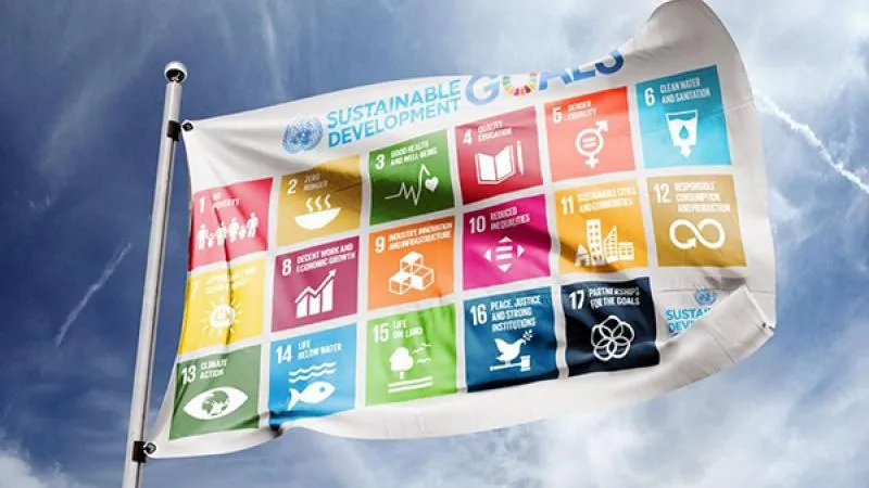 vlag global goals