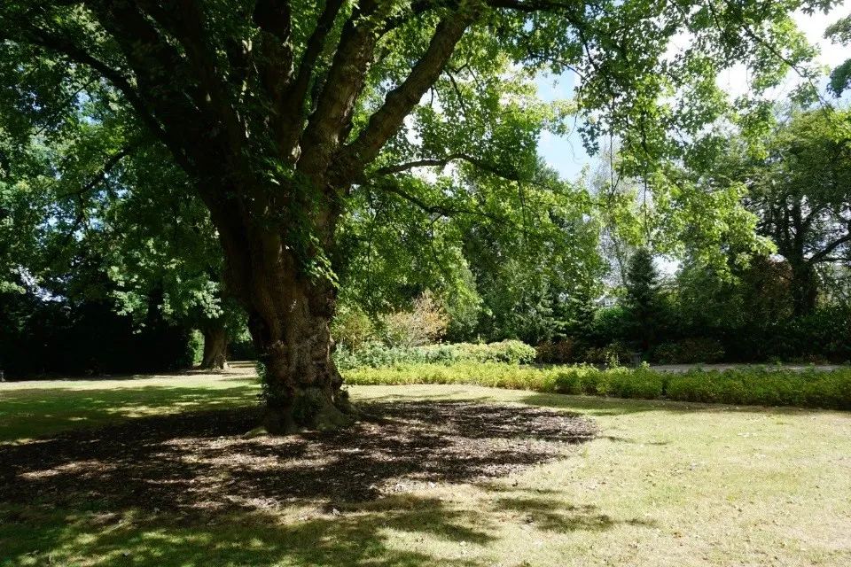 wandelpark