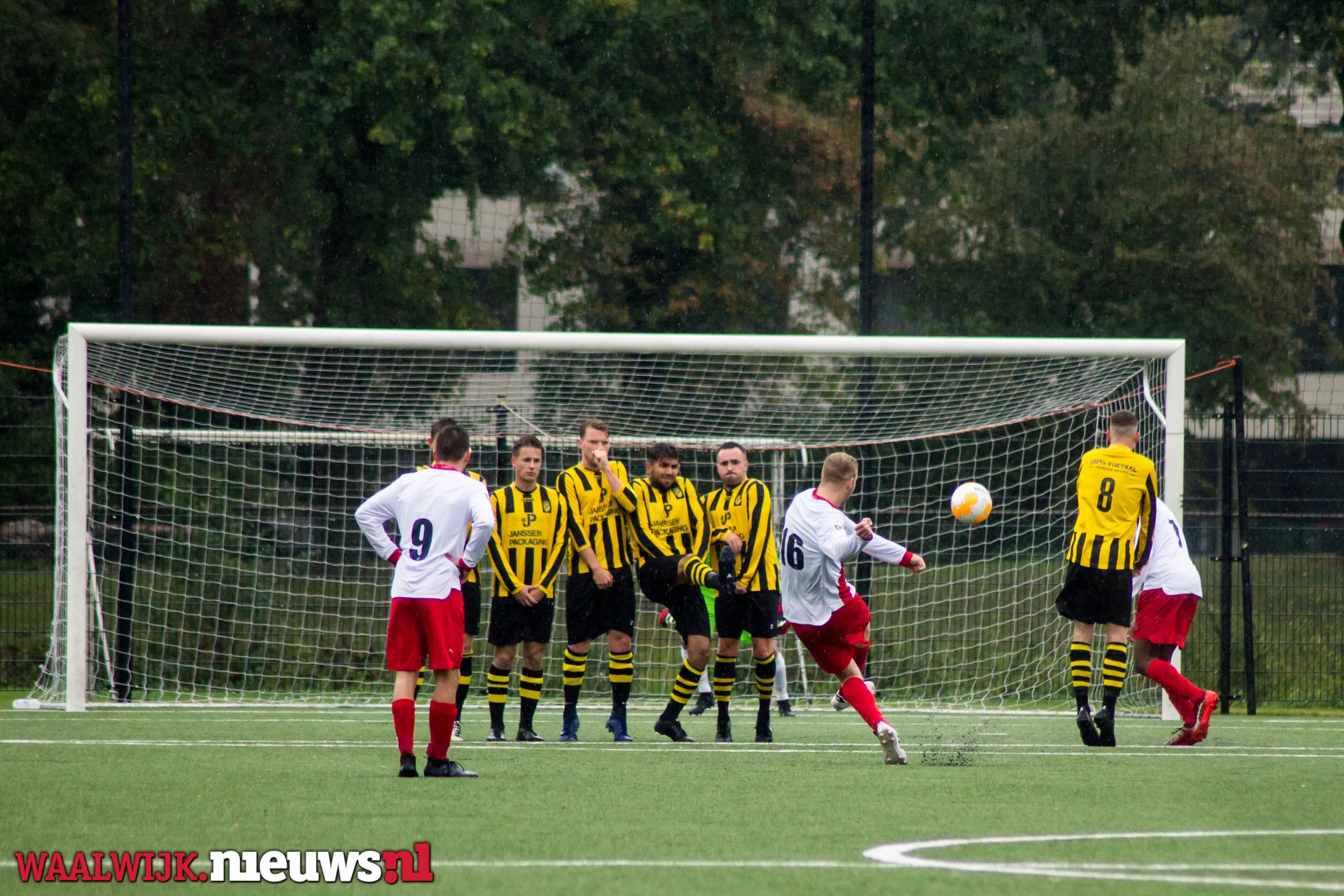 zigo baardwijk 1 van 7