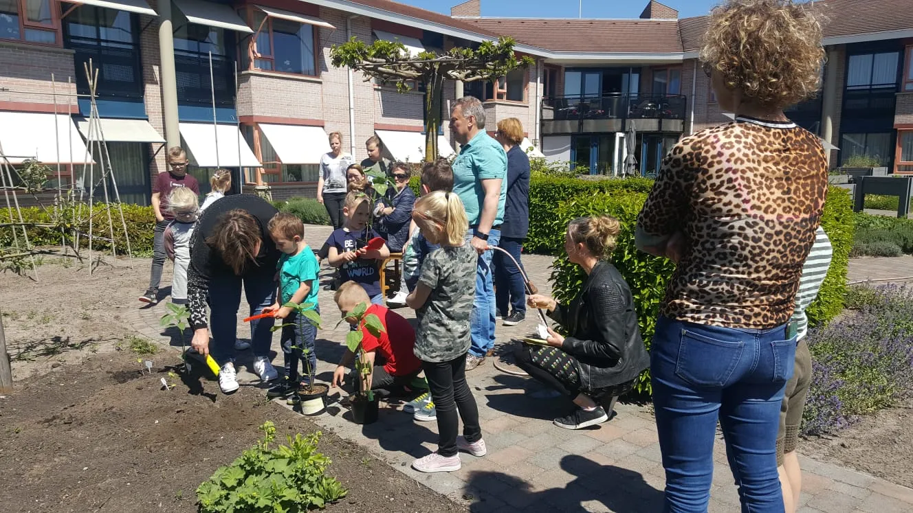 zonnebloemenrace foto 1