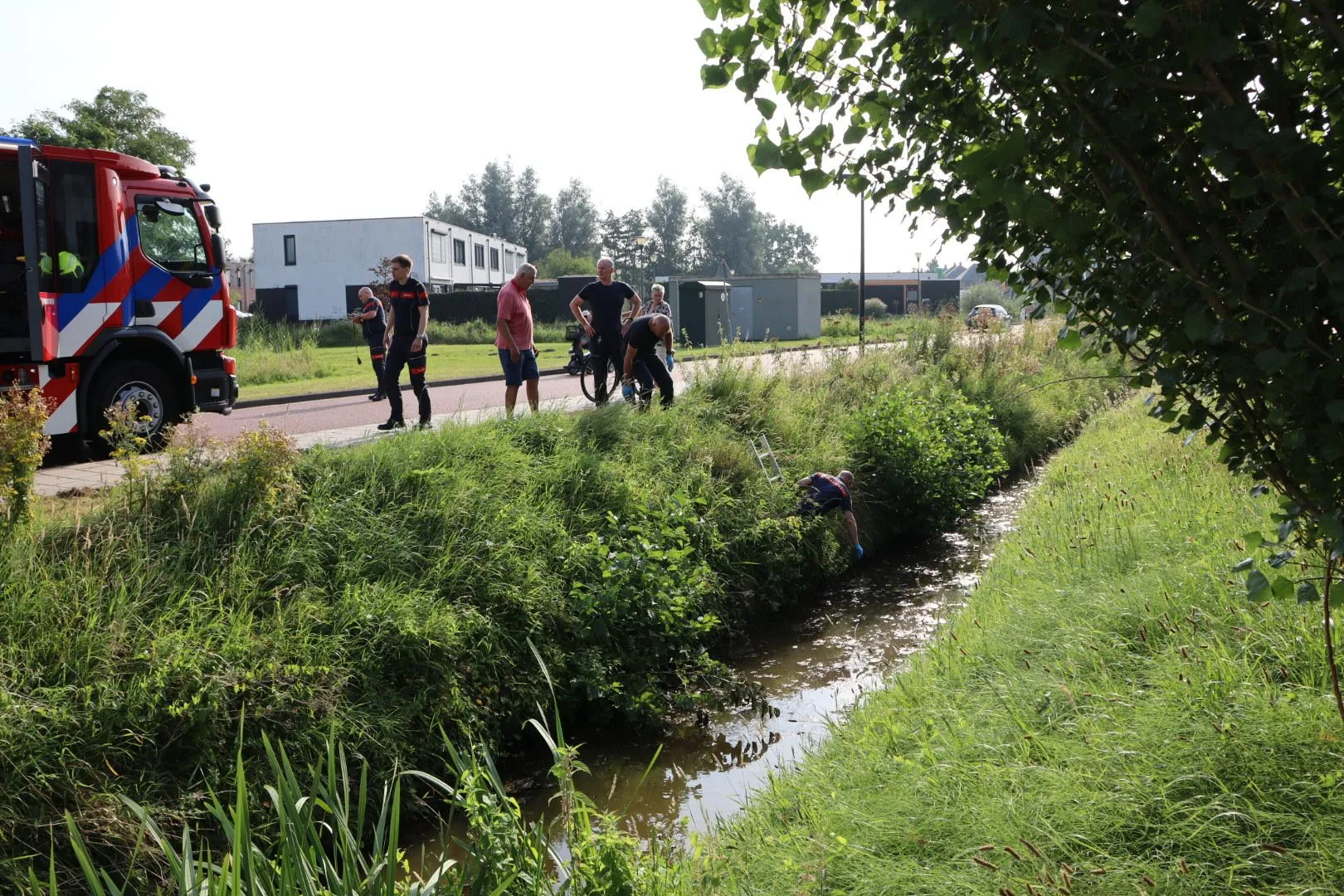 20240813092512 img 0358