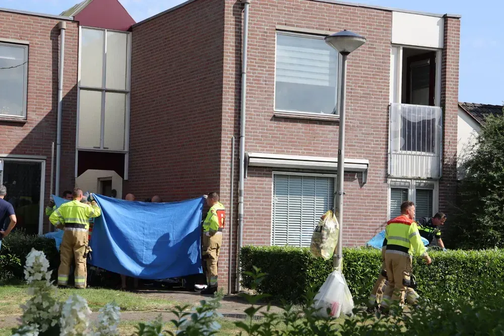 img 9354 66c9f108aaf29