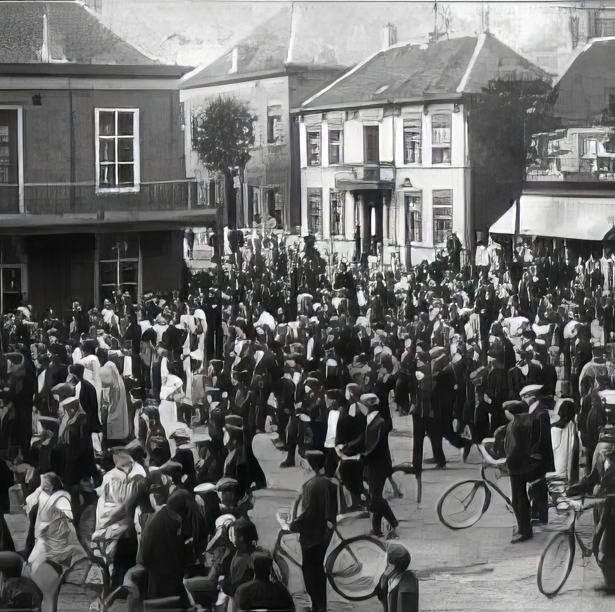 461901842 505350175591637 537673801632168306 n