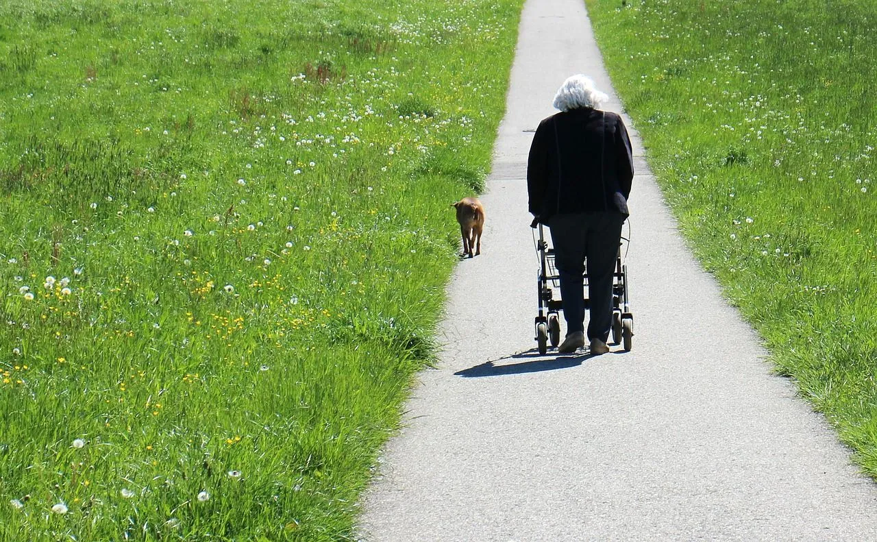 rollator