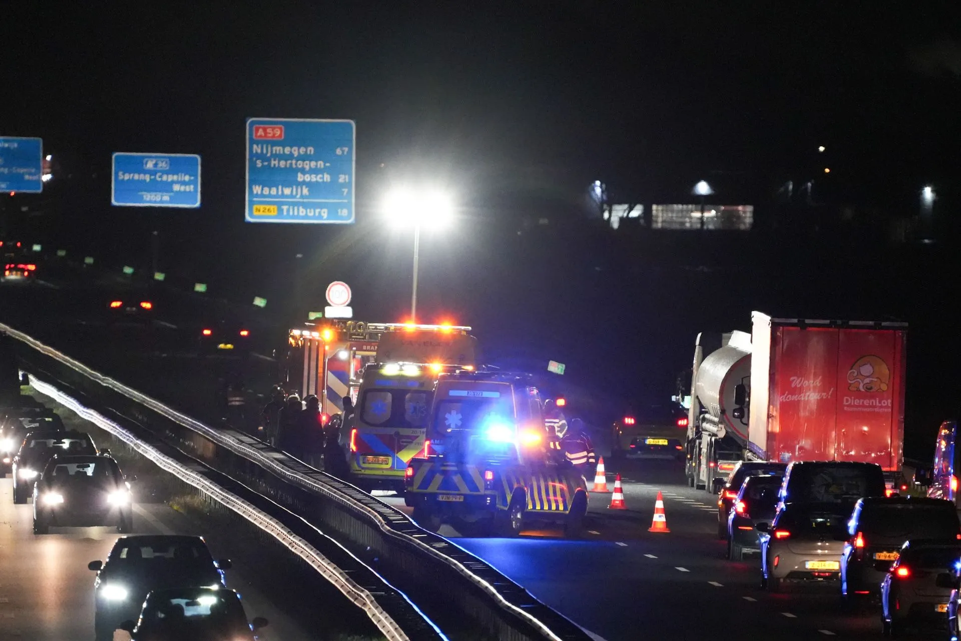 erik haverhals 20241202190555 0