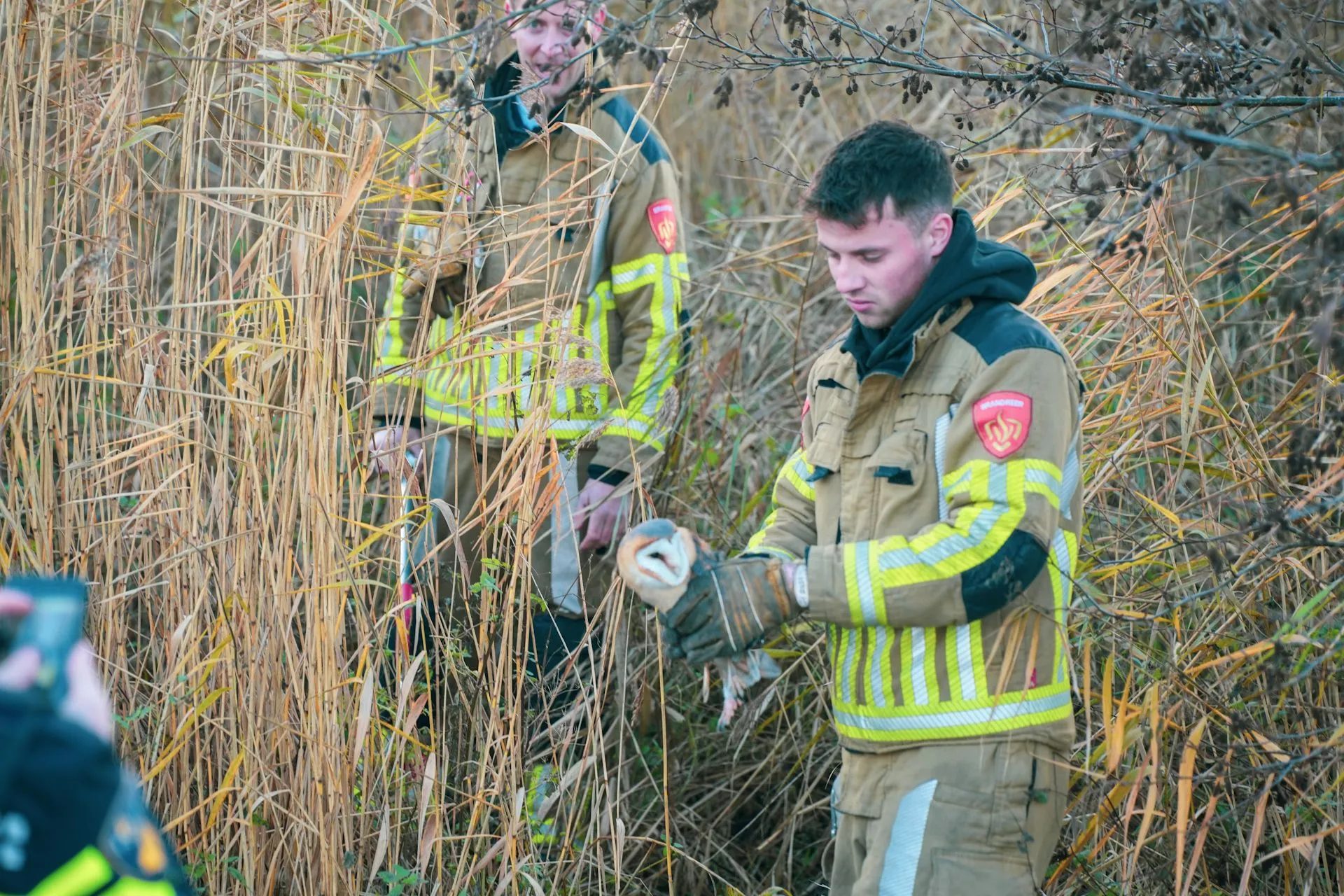 erik haverhals 20241203090017 6