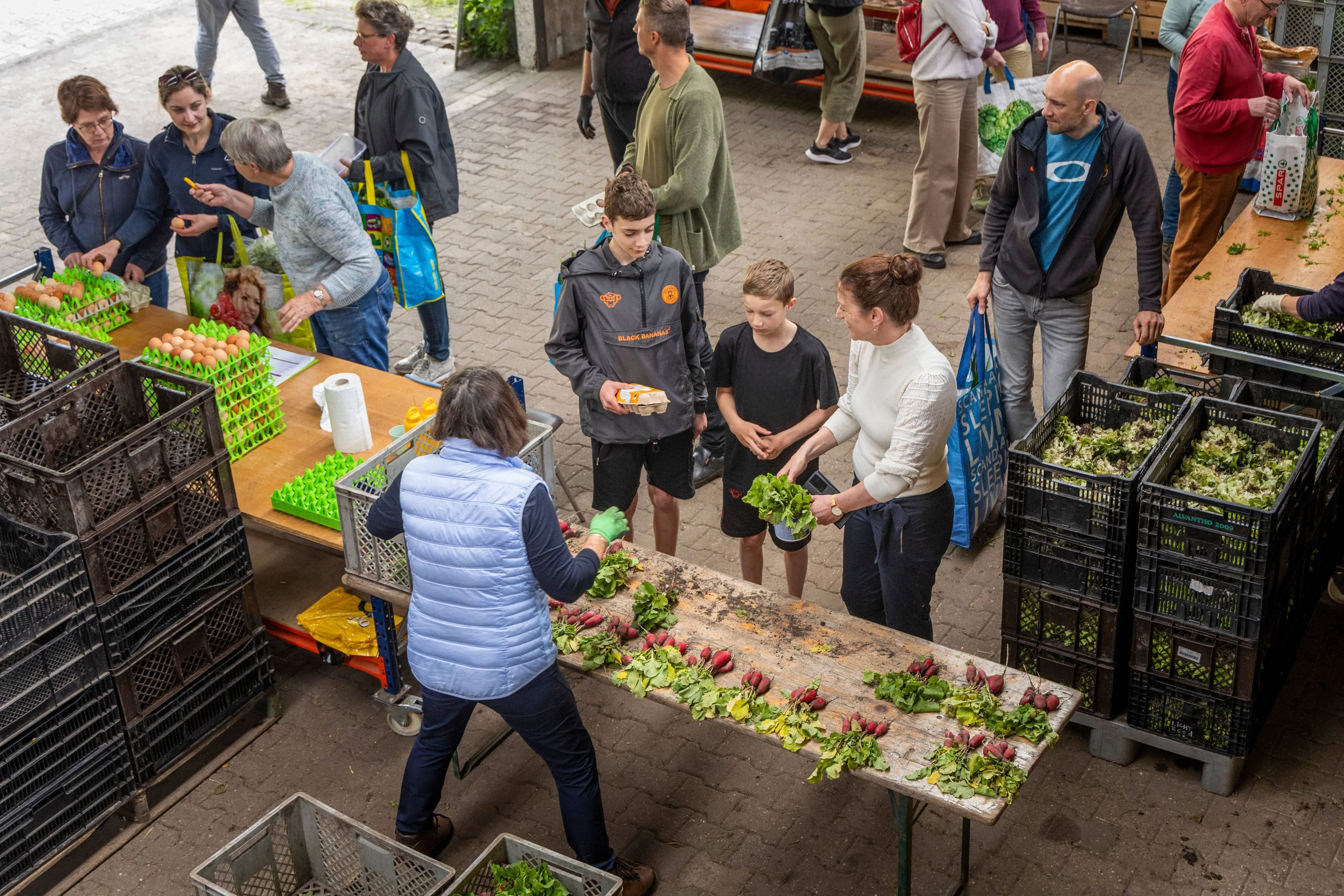 2024 degrootemodderkolk markvstokkom 9 looproute
