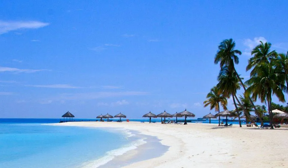 afb blue zones