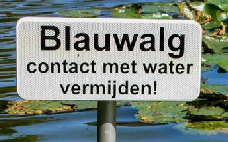 Naamloos