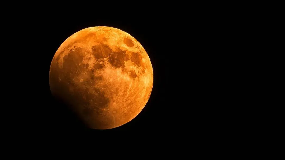 bloedmaan-pexels-george-desipris-1276314-68bca1414ff4b