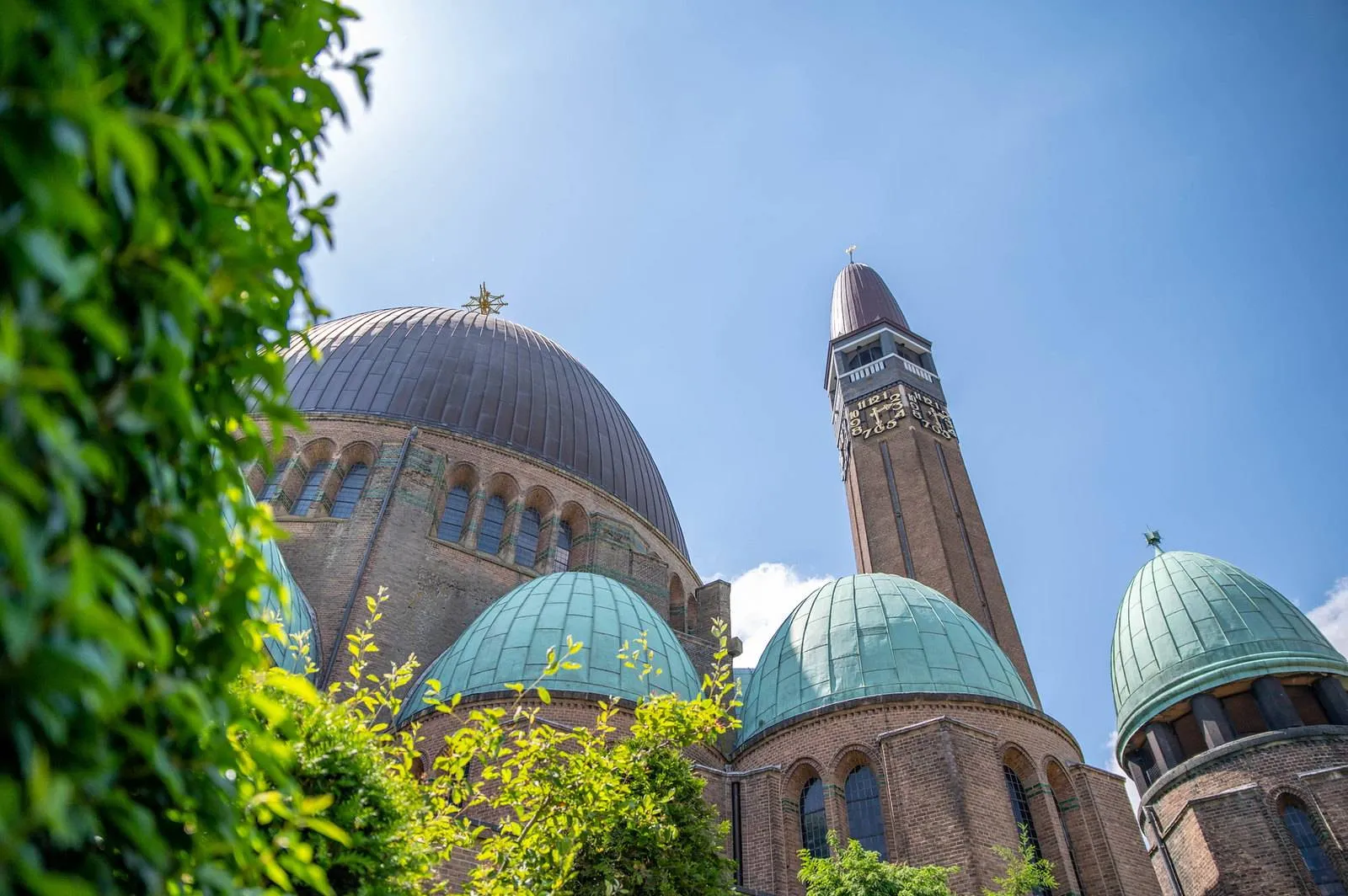 51263533028_81a1ae2622_h