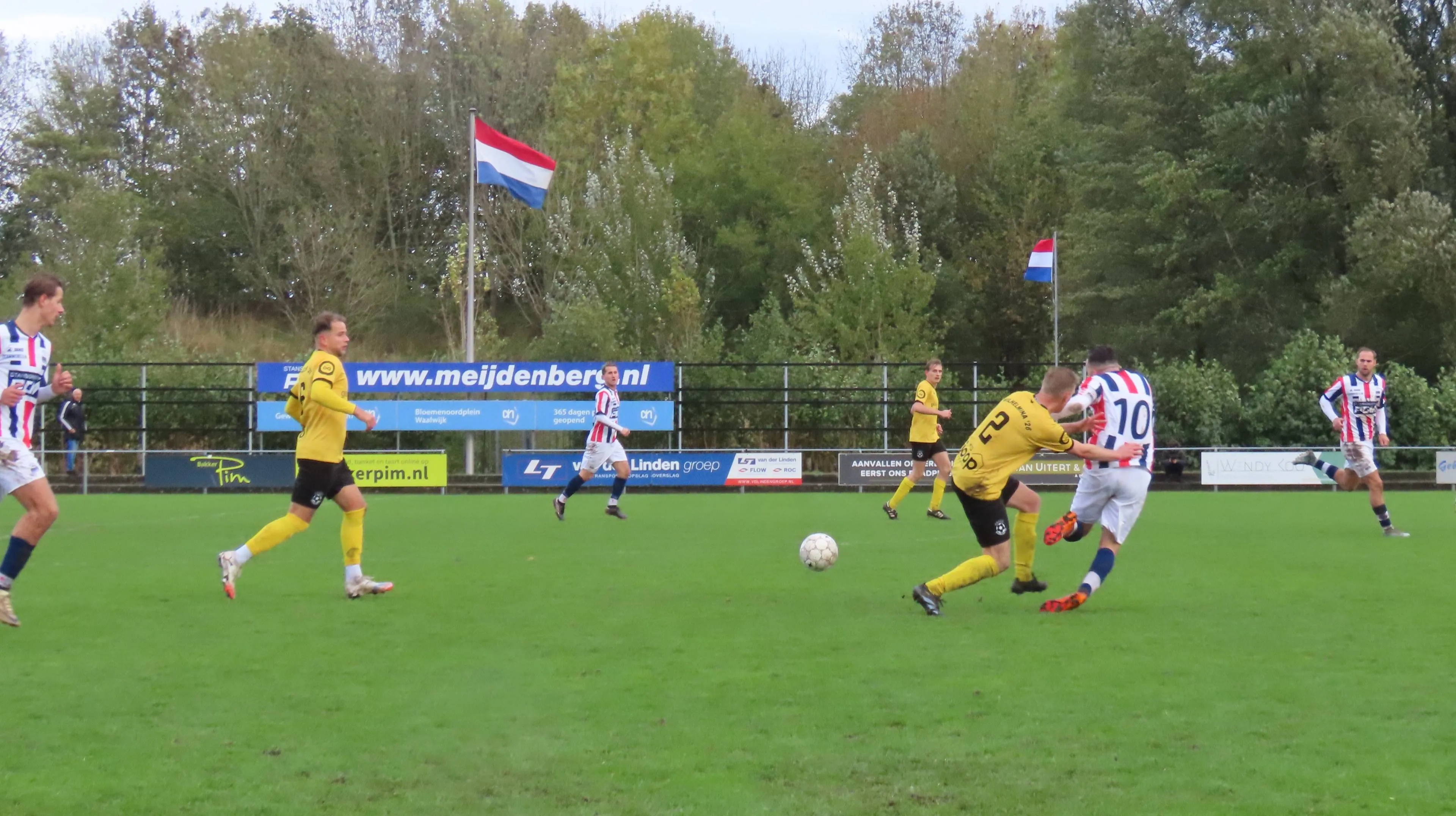 RWB 1 - Wilhelmina'26 1