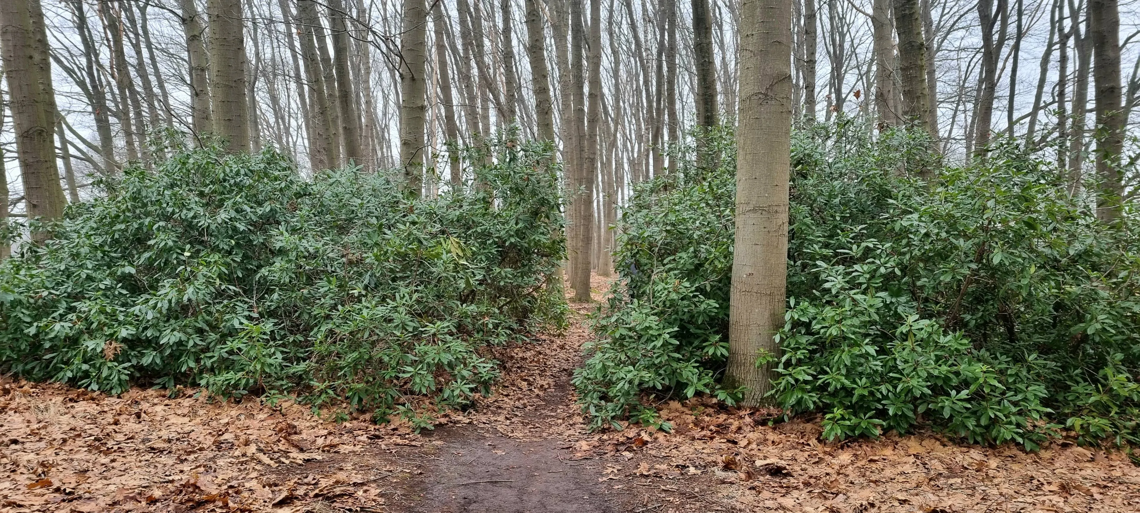 w.s. 2023-2024 foto reghte hei 2