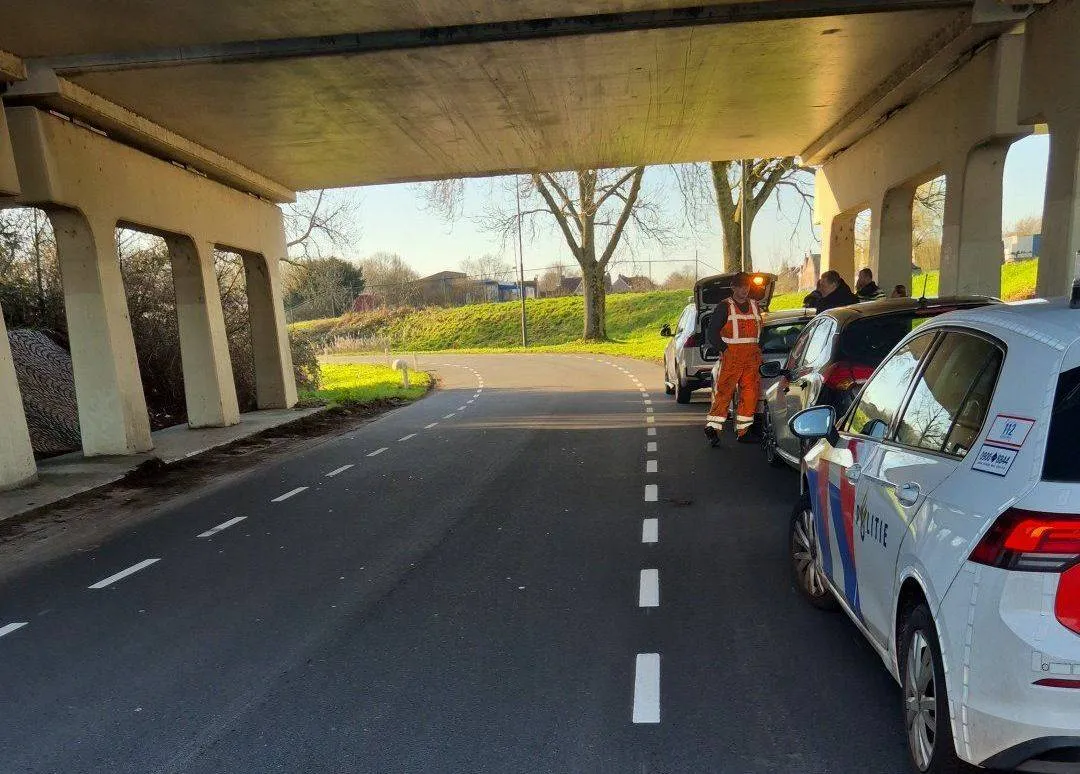 645210238_1376015564559659_1929203560216962993_n